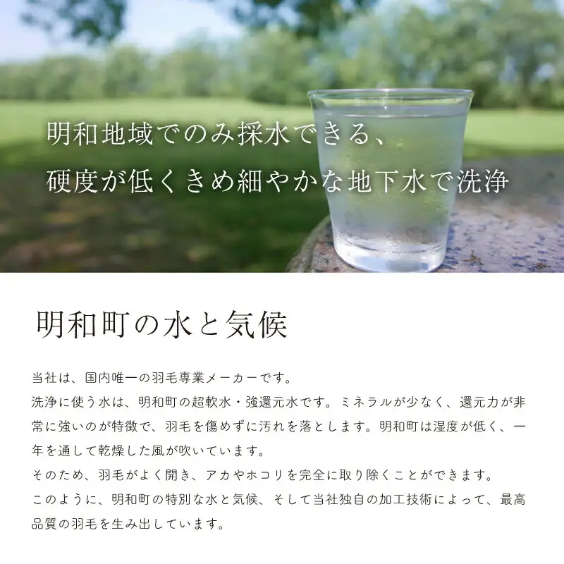 【河田フェザー】 国産 羽根クッション 低反発 高反発 座布団 クッション 羽根 ホワイト 日本製 大きい おおきめ カバー セット おしゃれ kawada 河田フェザー 正規品 癒し やすらぎ 高級 C-50