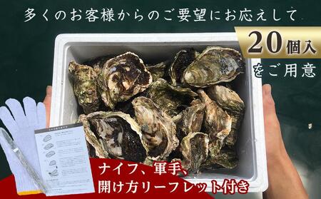 【先行予約 2026年3月下旬以降発送】長崎県五島列島産【超極濃プレミアム】岩牡蠣20個入（1個100g～150g×20）