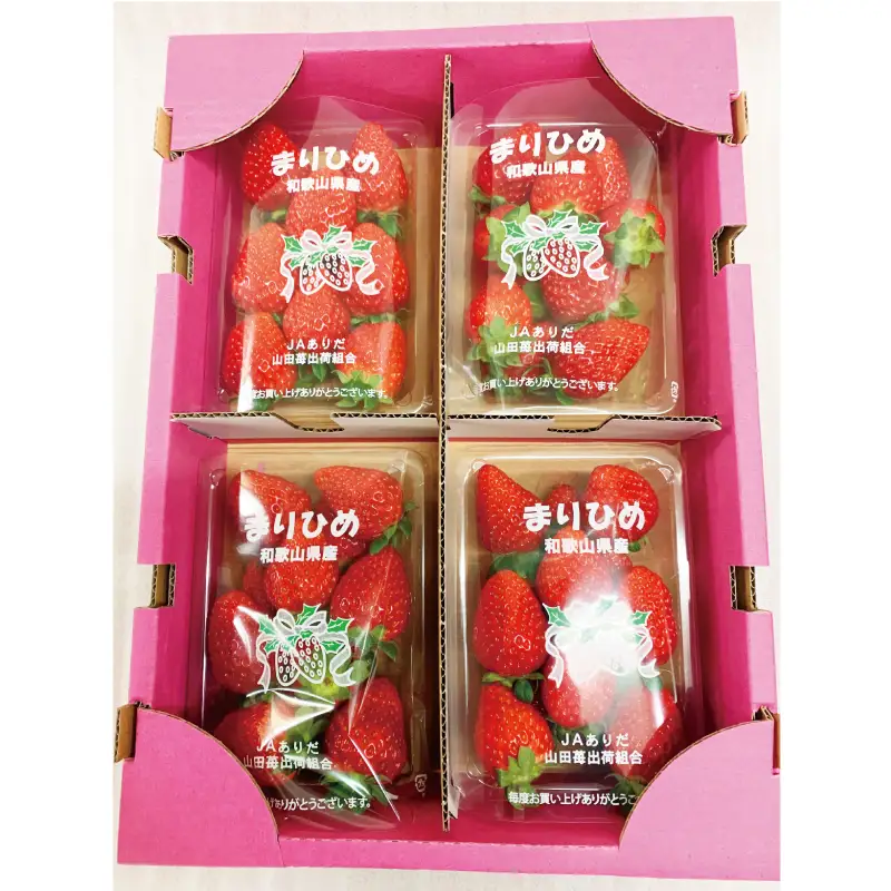 【来シーズン先行予約】紀州和歌山ブランドいちご「まりひめ」約２５０ｇ×４Ｐ※2027年3月上旬頃〜3月下旬頃月上旬頃順次発送（お届け日指定不可）【uot758B】
