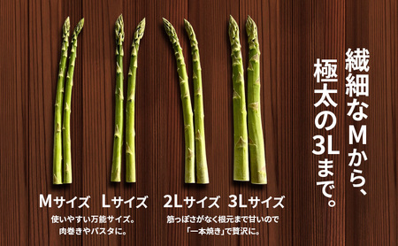 先行予約 グリーンアスパラ 1kg M～2L混合 アスパラガス