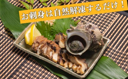 サザエ あわび セット 冷凍 サザエ FK