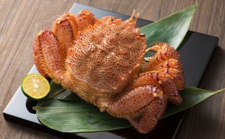 前浜茹で毛がに3尾（約380～440g） ＜株式会社 鳥潟＞ かに カニ 蟹 ガニ がに 森町 ふるさと納税 北海道 毛蟹 毛かに 毛ガニ 毛カニ 北海道 ズワイカニ ズワイ蟹 ズワイガニ mr1-0153