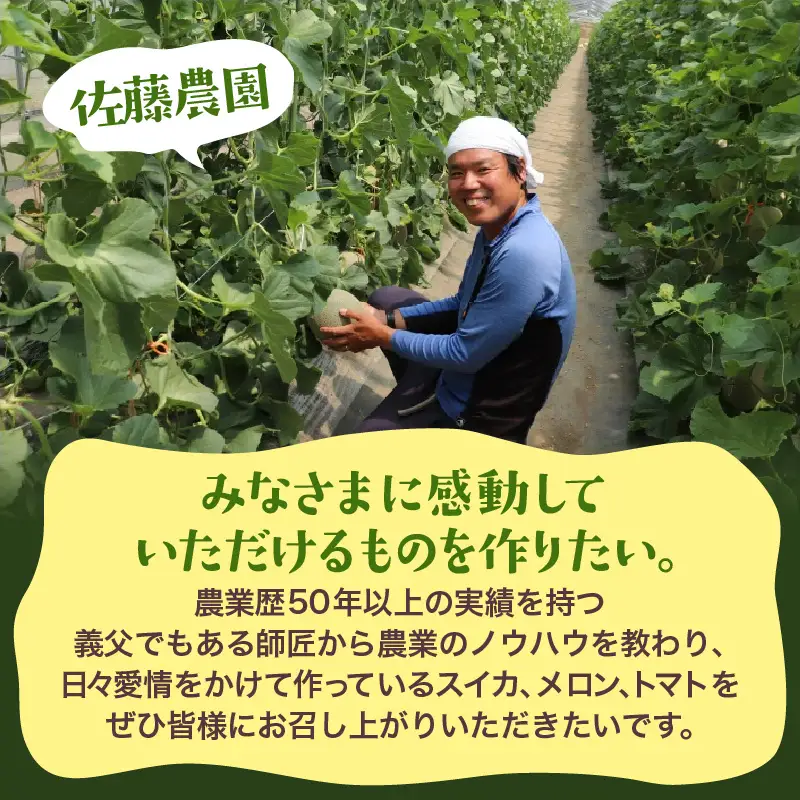 【先行予約】《定期便全2回》佐藤農園のフルーツ定期便 朝採り 計4玉（小玉スイカ・マルセイユメロン・レノンメロン・ペルルメロン）農家直送 秀品 お届け！※2027年5月下旬～7月末の間に順次発送 [aw069-b001]