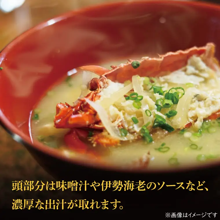 生冷凍 伊勢海老 2尾 1kg _AP031