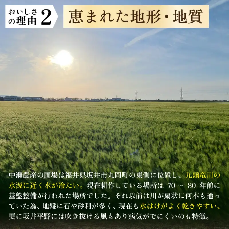 令和8年産・新米 コシヒカリ 計5kg（玄米） [A-11309_02]