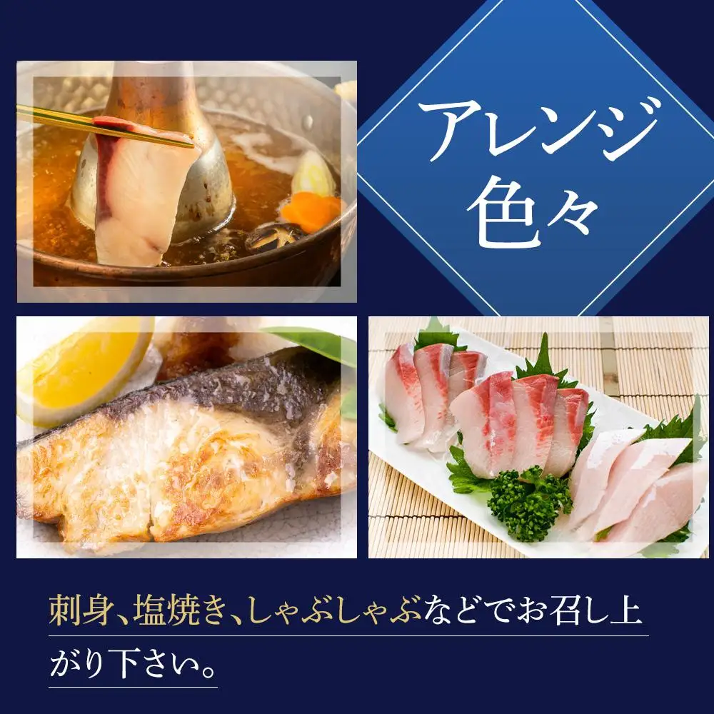 オリーブハマチ 半身 約1kg