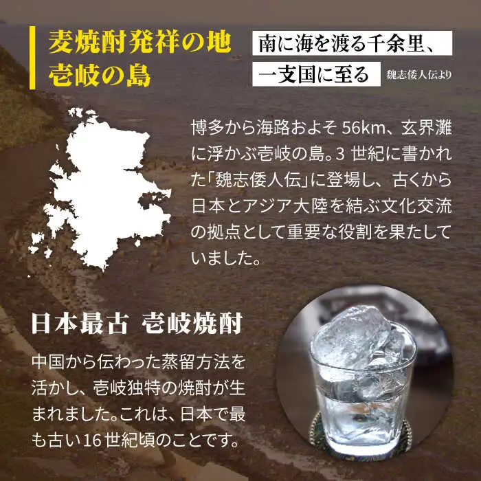 【全12回定期便】 麦焼酎 壱岐 20度 1800ml 紙パック 6本《壱岐市》【天下御免】 むぎ焼酎 酒 お酒 焼酎 麦 パック [JDB315] 468000 468000円