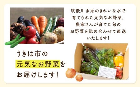 【月イチ定期便】UIC 名水うきは 旬の滋味（じみ）野菜セット (ひと月1箱×4か月=計4回)