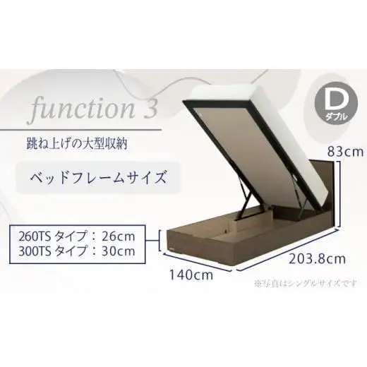 フランスベッド BG-001（跳ね上げ収納タイプ 260mm）ダブル【ベッドフレームのみ】S-213