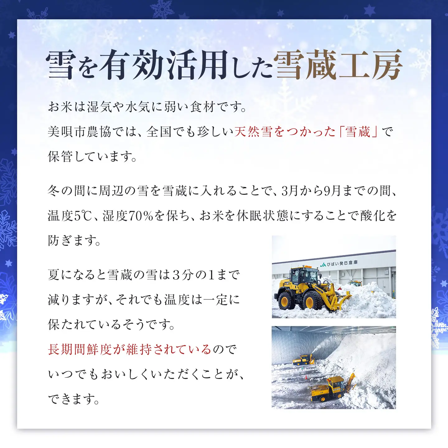 【3か月定期便】おぼろづき 5kg ×3回 雪蔵工房 幻の米 【令和7年産】｜ おぼろづき