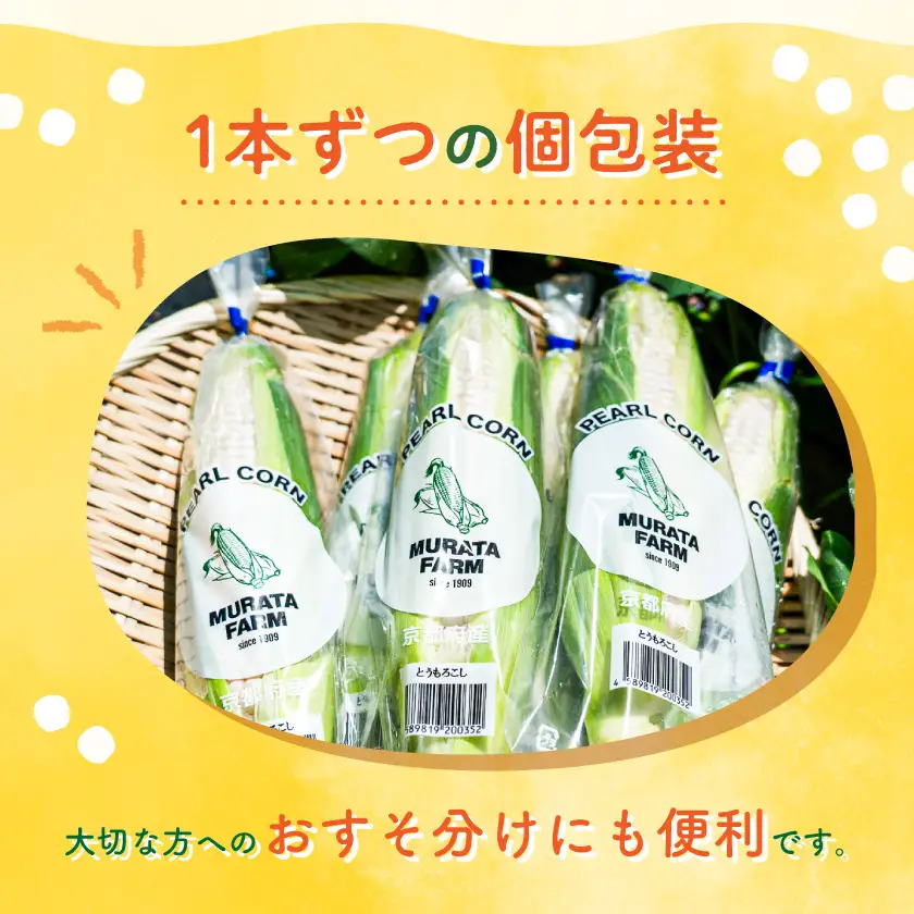 まるでフルーツ 村田農園のパールコーン 10本【大人気の白いとうもろこし(ホワイトコーン)】_野菜 とうもろこし  トウモロコシ_【配送不可地域：離島】【1075298】