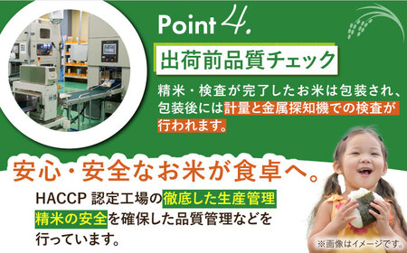 【全6回定期便】さがびより 白米 10kg（5kg×2袋）【株式会社 JA食糧さが】 [HCM003]
