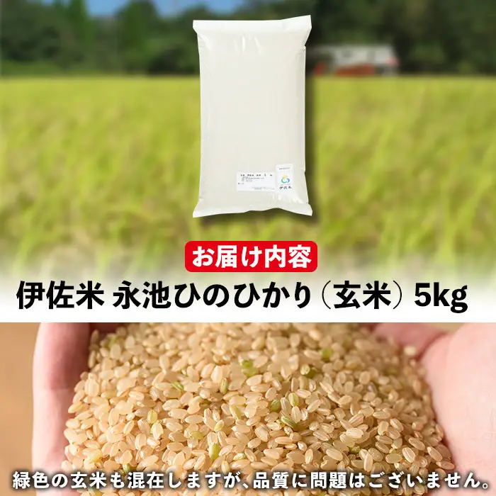 isa400 ＜14営業日以内に発送！＞令和7年産 特別栽培米 永池ひのひかり玄米(5kg) 鹿児島 永池 お米 米 玄米 伊佐米 九州米サミット 食味コンテスト 最優秀賞受賞 ヒノヒカリ 【エコファーム永池】