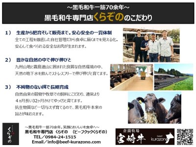 宮崎牛 メス指定 A5等級サーロインステーキ 400ｇ