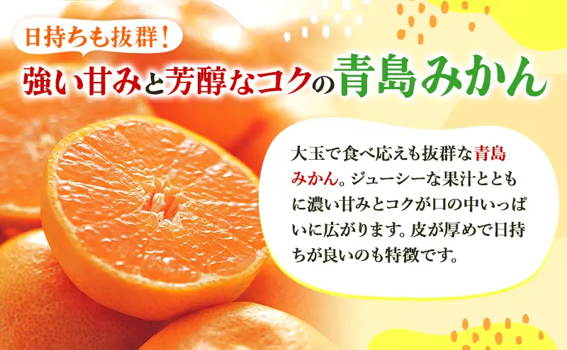 みかん 三ヶ日 5kg 青島 M〜2L 果物 フルーツ みかん