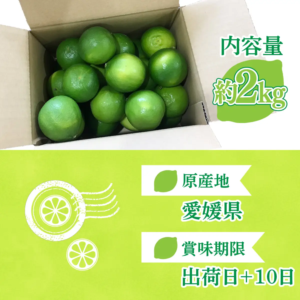 青いレモンの島 ライム 約2kg ライム