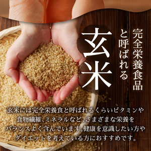 栄養満点 玄米だんご　30年間無農薬・無肥料で米作りを続ける米職人のお米で作りました (a10-1147)