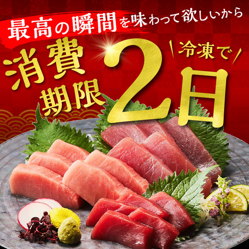 国産本まぐろ 中トロ 赤身 600g [ まぐろ ] / 2-134｜三重県松阪市
