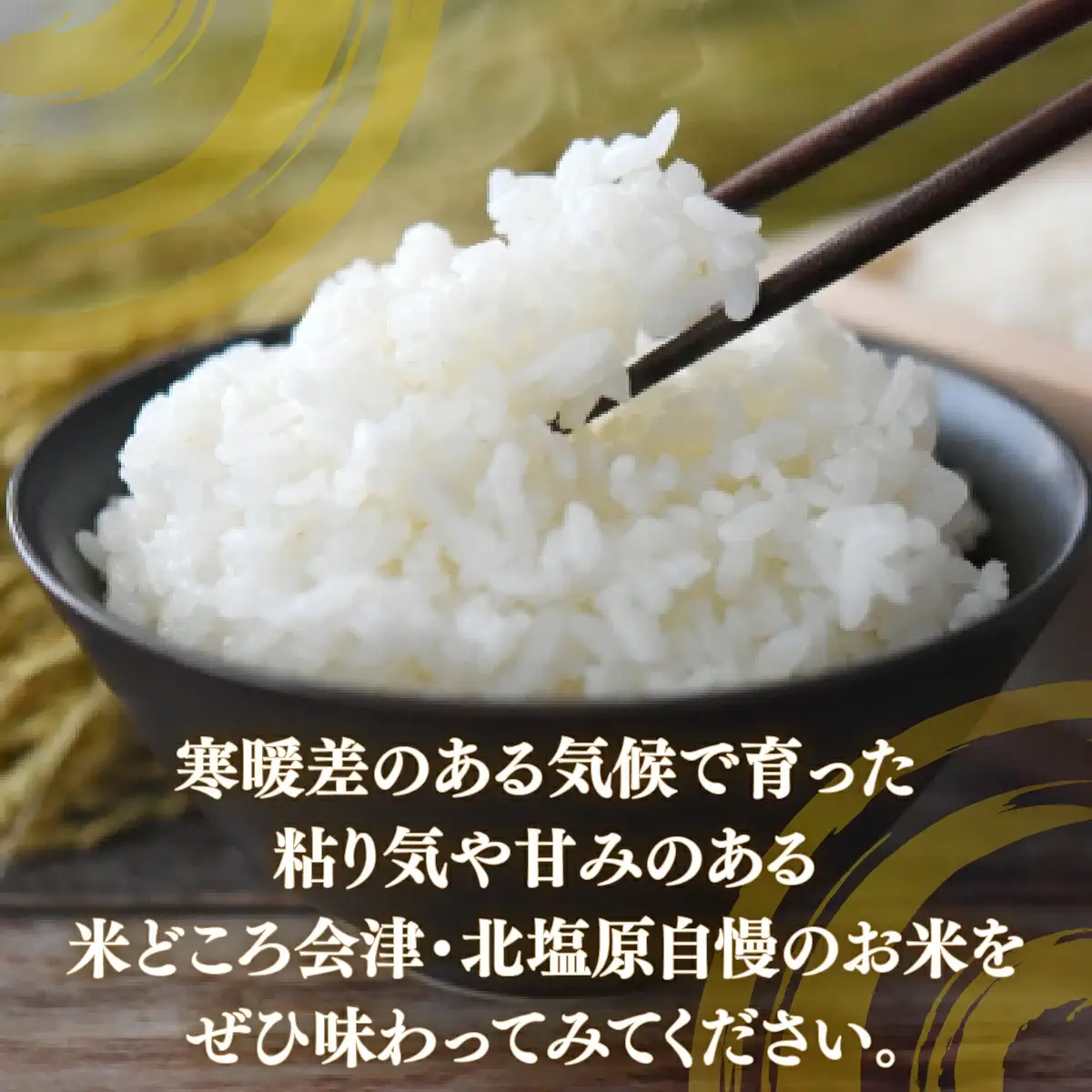 【令和7年産】【5ヶ月定期便】会津・北塩原村産「コシヒカリ」5kg×5回お届け(大塩棚田米・標高500ｍ里山栽培） KBK003