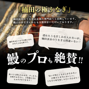 楠田の極 うなぎ 蒲焼き4尾 (計600g以上) b6-011