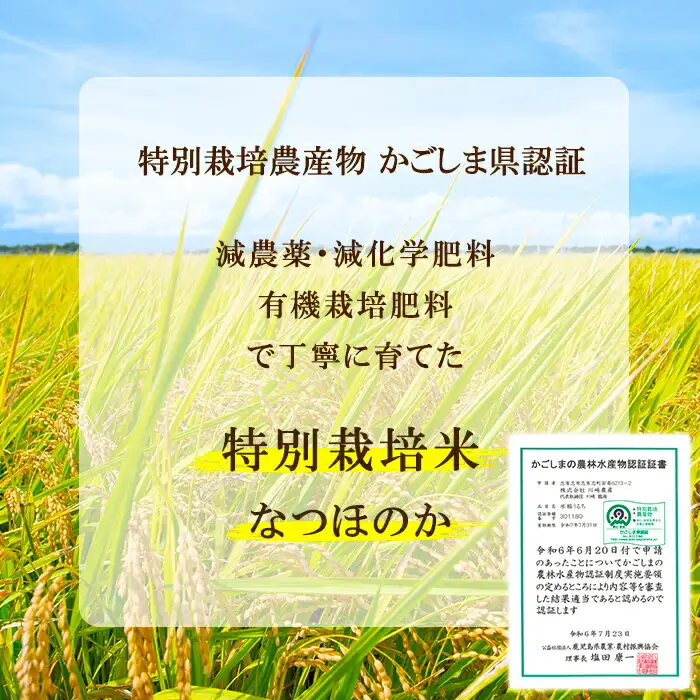 特別栽培米！川崎さん自慢のなつほのか 白米 (4.5kg×2袋・計9kg) b0-221