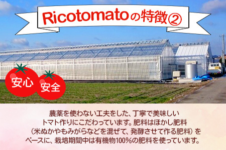 【先行受付】2027年1月より順次発送予定【少量パック】完熟ミニトマト 360g (120gx3p) | トマト プチトマト 野菜 農家直送 ギフト 人気 佐賀県鹿島市 たにぐちファーム Ricotomato（リコトマト）～とりこになるトマト～ B-324