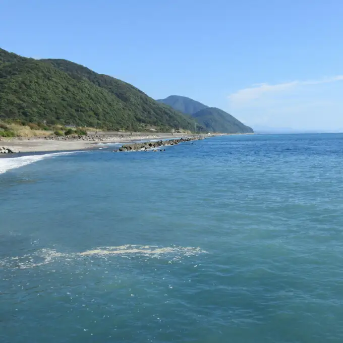 【漁師直送】室戸沖（活）伊勢海老　５ｋｇ　１０～２５尾