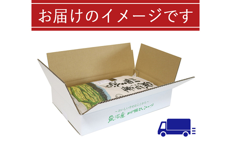 【定期便／12ヶ月】無洗米 魚沼産川西こしひかり5kg お米 コシヒカリ 魚沼産コシヒカリ 魚沼産こしひかり 