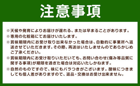 みかん マルチみかん「うまか」1箱 (約2.2kg)