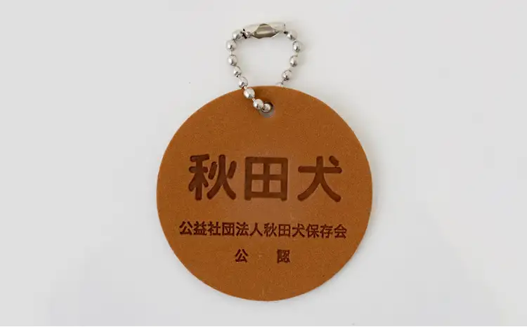 65P7306 秋田犬虎毛ぬいぐるみ　座りＭサイズ【秋田犬保存会】