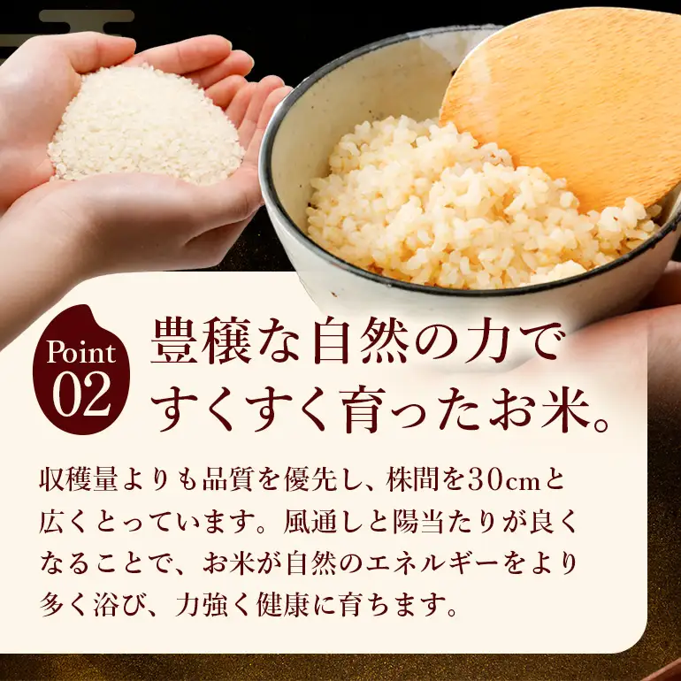 令和8年 新米 玄米 ひのひかり 2kg ぶんぶんファーム