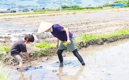 ぶんぶんファーム 自然栽培 ひのひかり 玄米 30kg