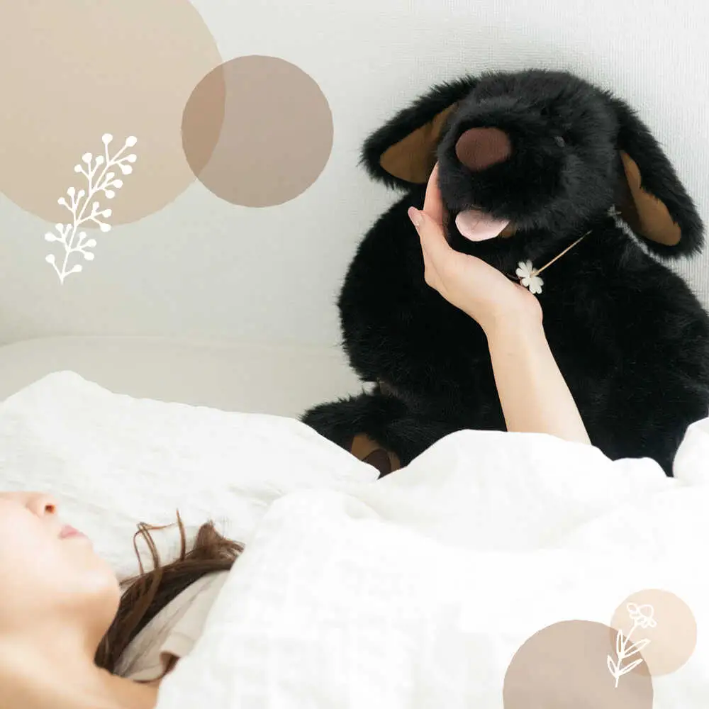 犬型セラピー？！ロボット？パトランの白（通称：シロラン）犬 ぬいぐるみ 糸島市 / 科学工房未來 [AYI003]