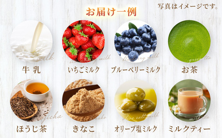 【果樹園が作る】素材の味を楽しめる 旬のジェラート 120ml×8個セット【ソルベッチdoうきは】着色料不使用 ノンホモ牛乳使用 ジェラート アイス 旬 スイーツ 詰め合わせ セット シャーベット ミルク フルーツ デザート