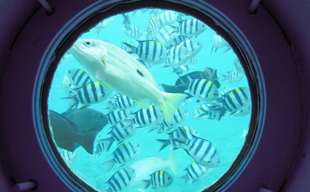 お魚とにらめっこ！海中展望塔　大人2名様【ブセナ海中公園】