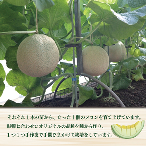 【先行予約】南張 メロン １玉 1.3kg 以上 令和9年5月発送 数量限定 (三重県志摩市)