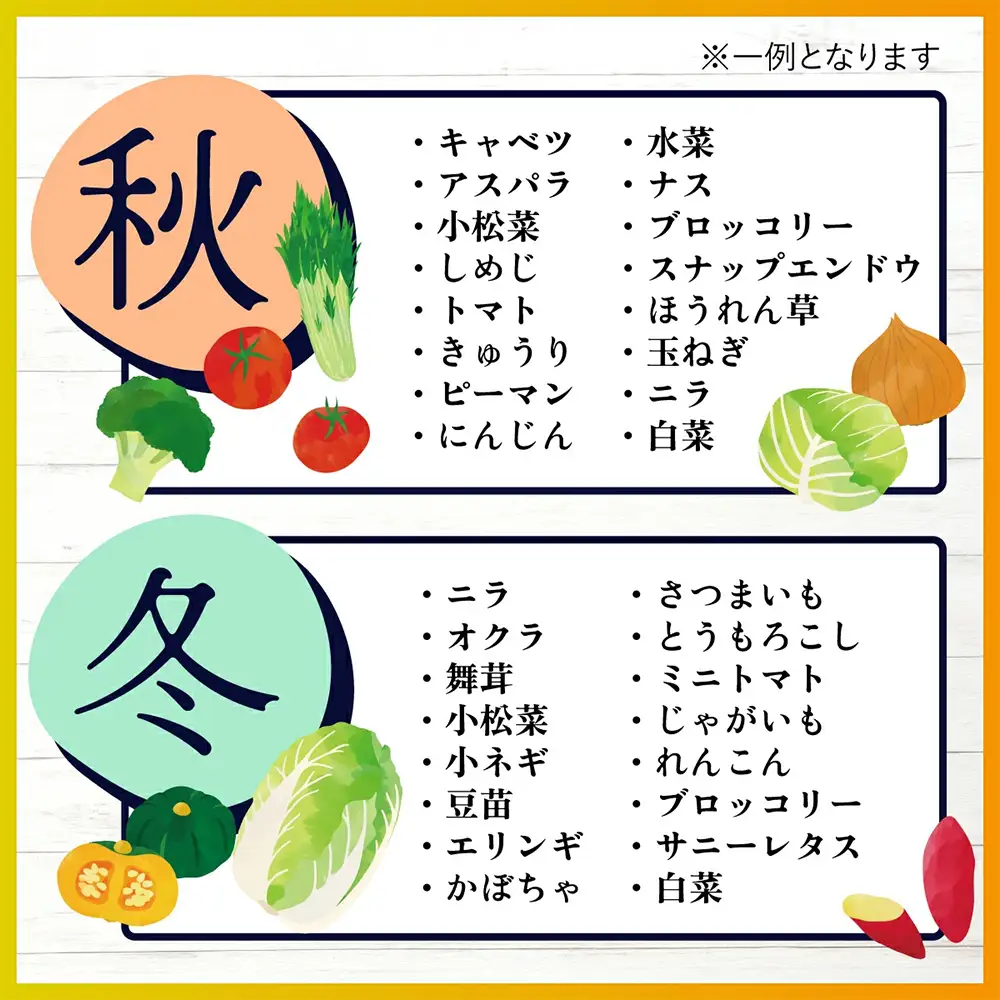  旬のおまかせ野菜BOXセット 旬の野菜 詰め合わせ 野菜 新鮮 野菜 8～11品目　AA-4