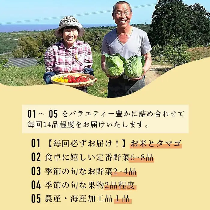  肥前の国の農産物大満足セット 【 野菜 卵 米 果物 新鮮 セット 詰め合わせ 産地直送 肥前 】B-306