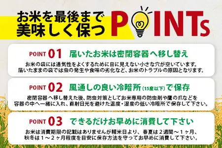  《3ヶ月毎月お届け》佐賀県産 夢しずく　白米３０ｋｇ定期便 N-6