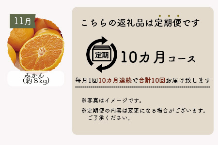 【10ヶ月定期便】 鹿島まるごと定期便 【佐賀産和牛 夢しずく(米）海鮮しゅうまい 黒毛和牛 ジェラート 海苔佃煮 芳寿豚 野菜 果物 海苔】 L-12