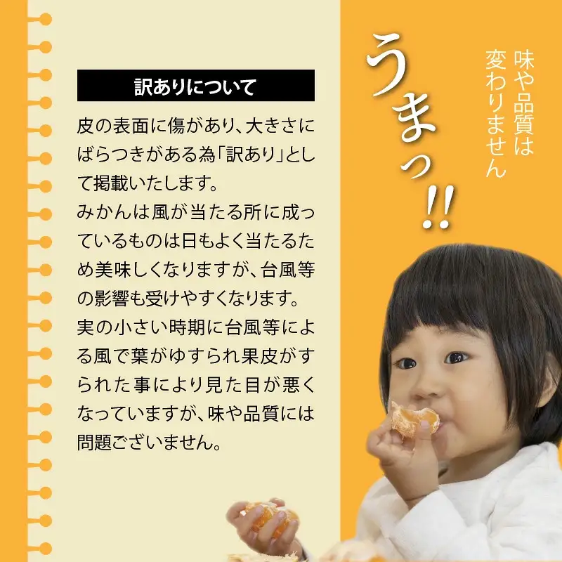 【訳あり】岸田果樹園「温故蜜柑」約7kg_2088R