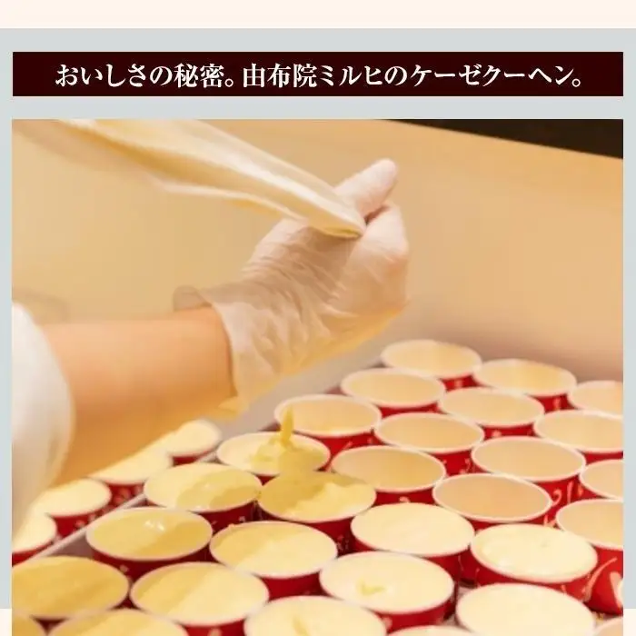 【由布院ミルヒ】ケーゼクーヘン（チーズケーキ）8個入【 チーズケーキ】