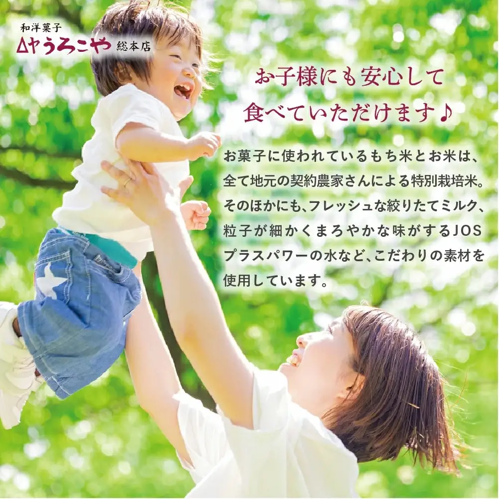 商品券 洋菓子 和菓子 スイーツ ギフト 9000円 山形県 us-skxxx9000
