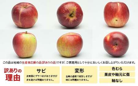 FYN6-431 《2026年先行予約》ご家庭用 山形県産 りんご 3kg 2026年11月下旬から順次発送 林檎 リンゴ 秋果実 冬果実 果物 くだもの フルーツ 訳あり 農業者 農家 支援 自宅 家庭 産地直送 山形県 西川町 月山