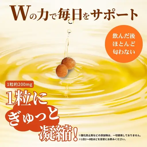 【普通郵便配送】佐賀の昔ながらの手作りにんにく卵黄：A065-008