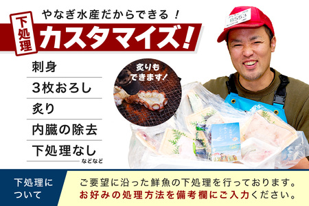 【定期便】浜田の旨い鮮魚3回お届けコース 海鮮 セット 海鮮 【006_2042】