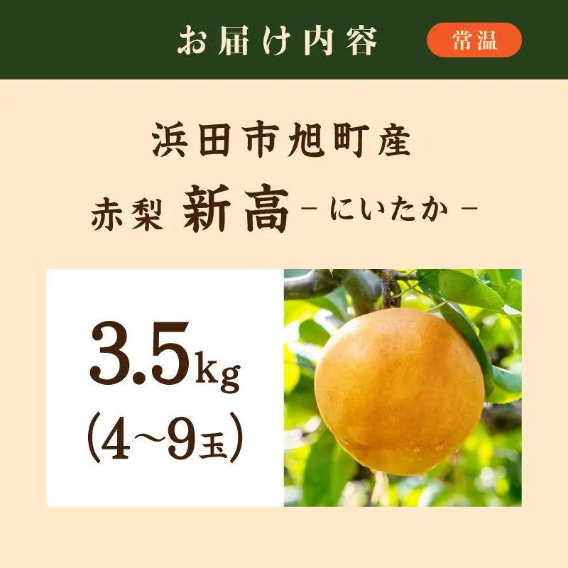 【先行予約】浜田市旭町産赤梨 3.5kg（新高）4～9玉＜10月中旬から発送開始予定＞ 梨 新高 ナシ 和梨 果物 フルーツ くだもの 先行予約 ふるさと納税 梨 【002_1961】