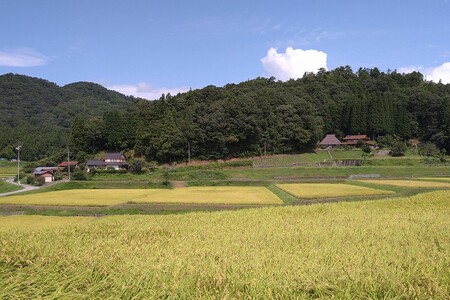 【令和7年産】弥栄町産特別栽培米「秘境奥島根弥栄」つや姫5割減（玄米）30kg【090_1865】