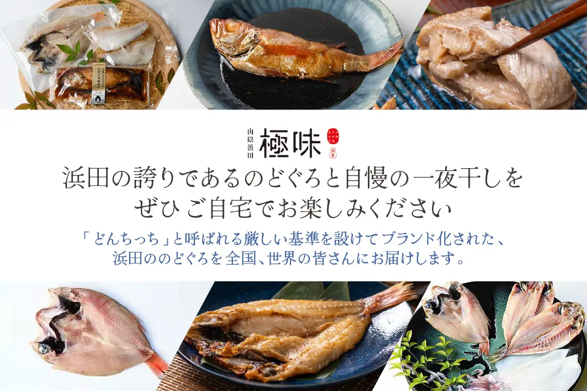 山陰浜田極味 シロイカ（ケンサキイカ）一夜干し3枚入り【164_1825】