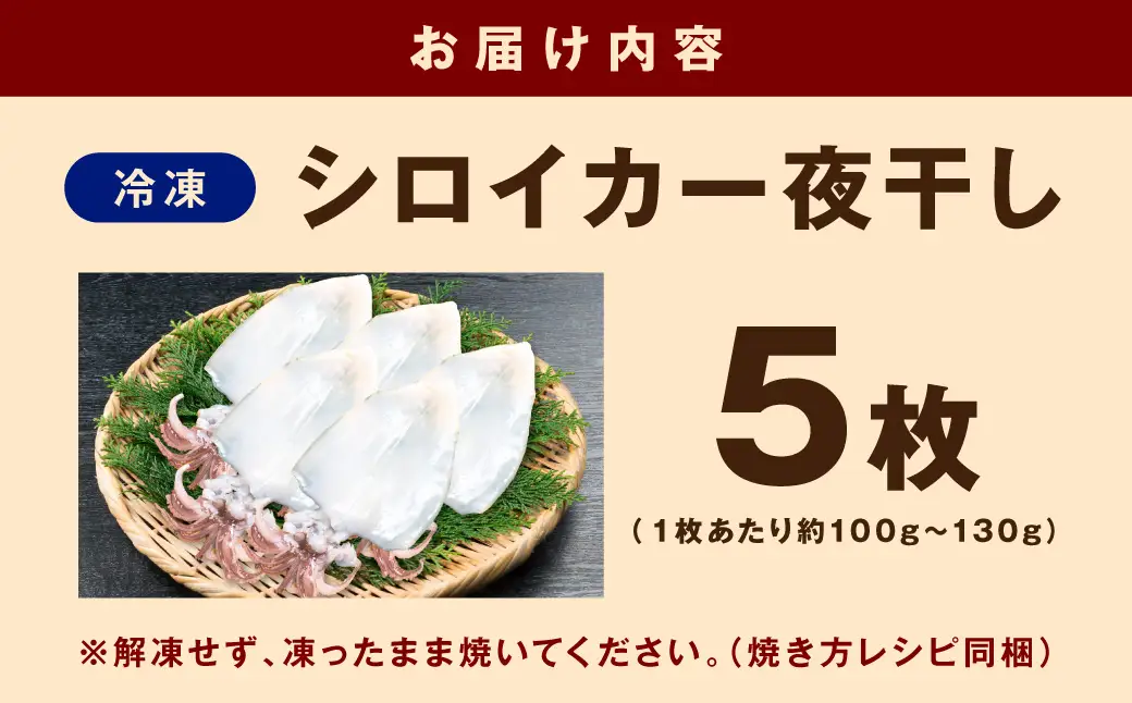 山陰浜田極味 シロイカ（ケンサキイカ）一夜干し5枚入り【164_1826】